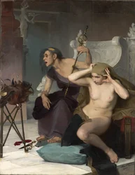 Bacidae